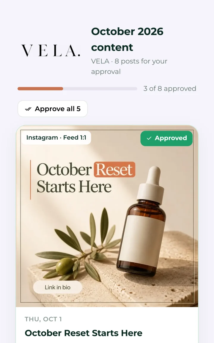The review link on a phone: October 2026 content, VELA, 8 posts for your approval, 3 of 8 approved, an Approve all button, and the first post marked Approved.
